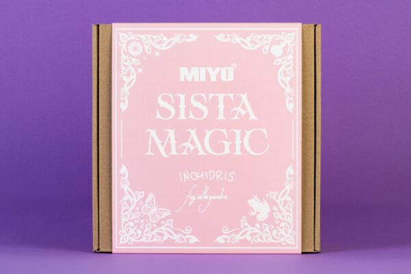 SISTA PR BOX - Image 4