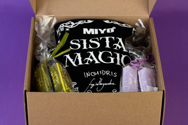 SISTA PR BOX